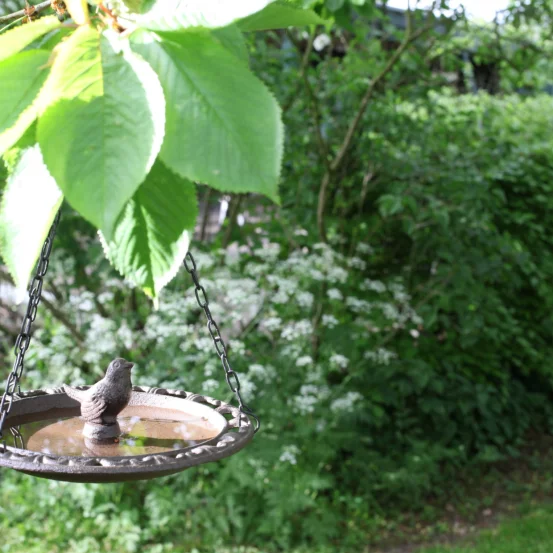 Підвісна купальня для пташок