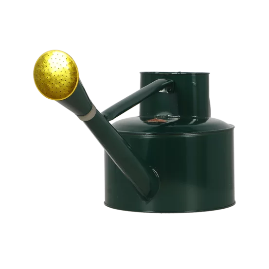 Вінтажна лійка для рослин, 5л