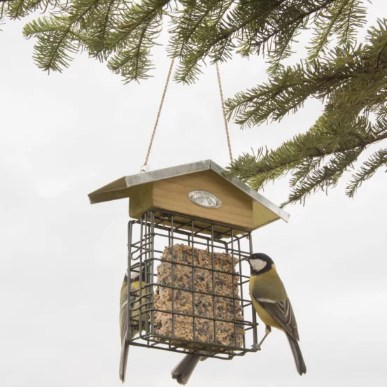 Годівничка для пташок
