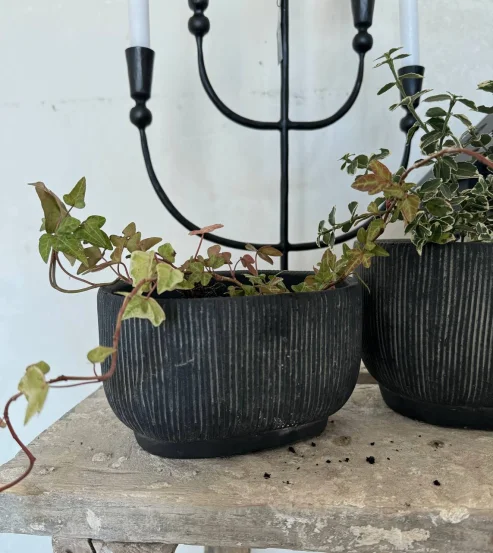 Кашпо для рослин Nola S