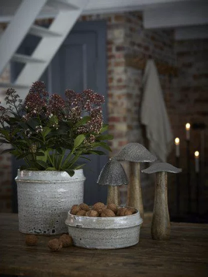 Кашпо для рослин EVA, 21x8 cм