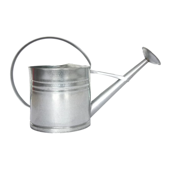 Лійка для рослин Zink, 10л