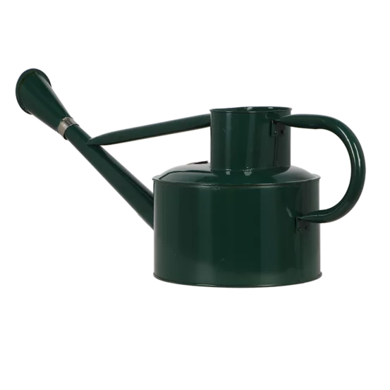 Вінтажна лійка для рослин, 5л