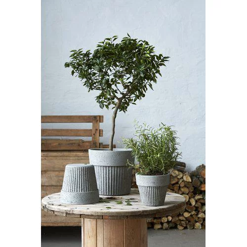 Кашпо для рослин ANITA,15*14 см