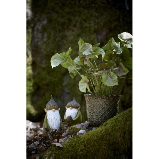 Домовик зелений