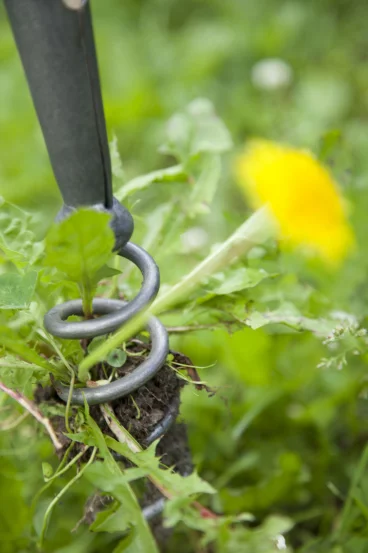 Інструмент для видалення кульбаби, 80 см