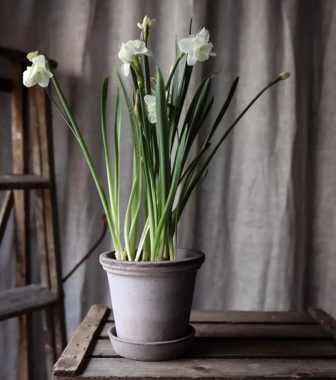 Горщик для рослин Flora Grey,18*17 см