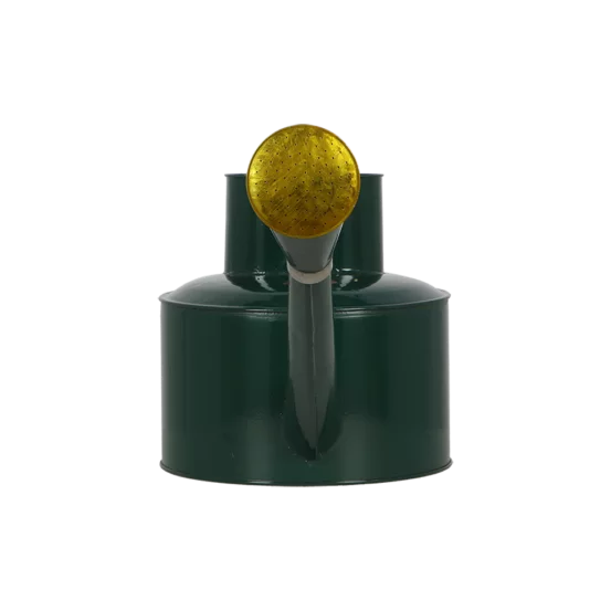 Вінтажна лійка для рослин, 5л