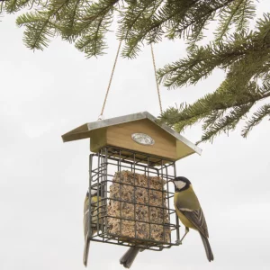 Годівничка для пташок