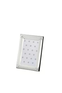 Посрібнена фоторамка з ліліями, 10×15 см