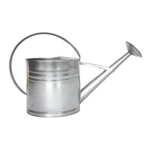 Лійка для рослин Zink, 10л
