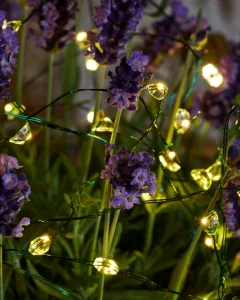 Гірлянда Knirke 40L